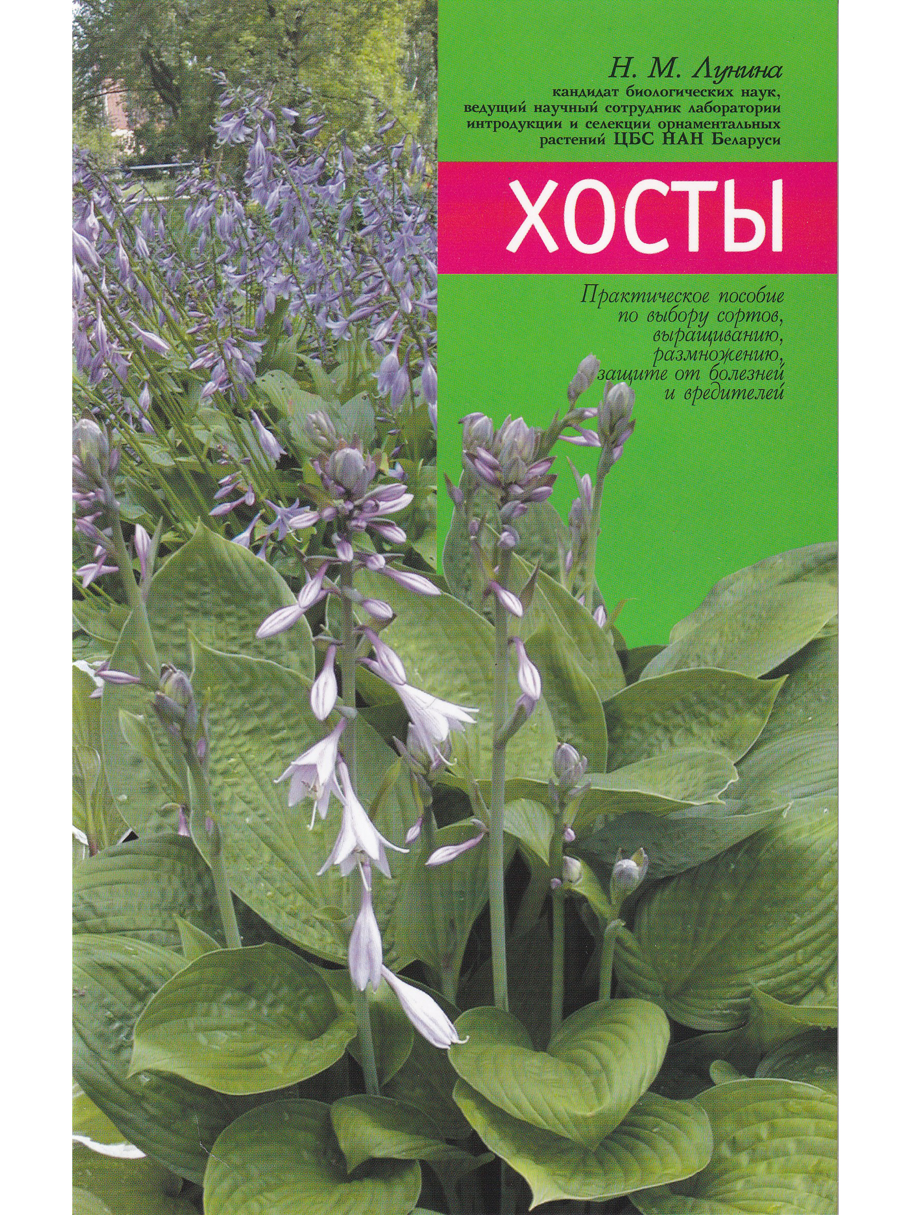 химина уход за лилейниками. т хосты. и. книга хосты. книга по уходу за книгами.
