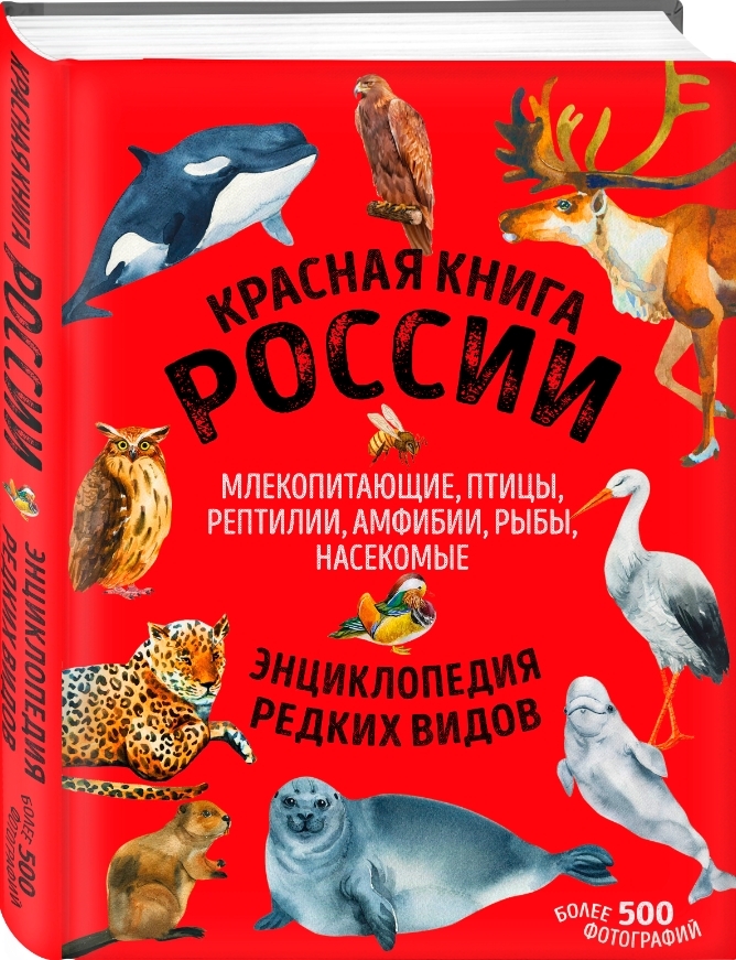 Красная книга России: все о жизни дикой природы