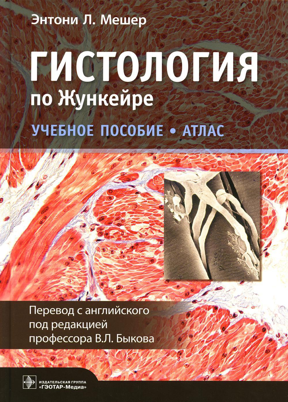 Гистология по Жункейре. Атлас: Учебное пособие - купить с доставкой по  выгодным ценам в интернет-магазине OZON (659889572)