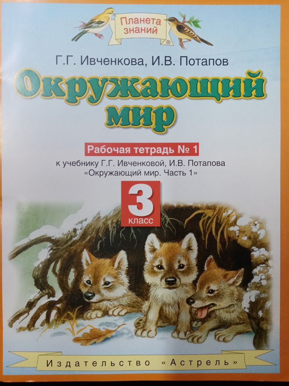 Окружающий мир. 3 класс. Рабочая тетрадь №1 | Потапов Игорь Владимирович,  Ивченкова Галина Григорьевна - купить с доставкой по выгодным ценам в  интернет-магазине OZON (676476664)