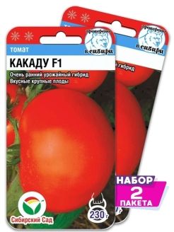 Томат какаду сибирский сад. Томаты какаду описание сорта. Томат какаду сибирский сад. Томаты какаду описание сорта. Томаты какаду описание сорта.