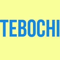 TEBOCHI — купить товары TEBOCHI в интернет-магазине OZON