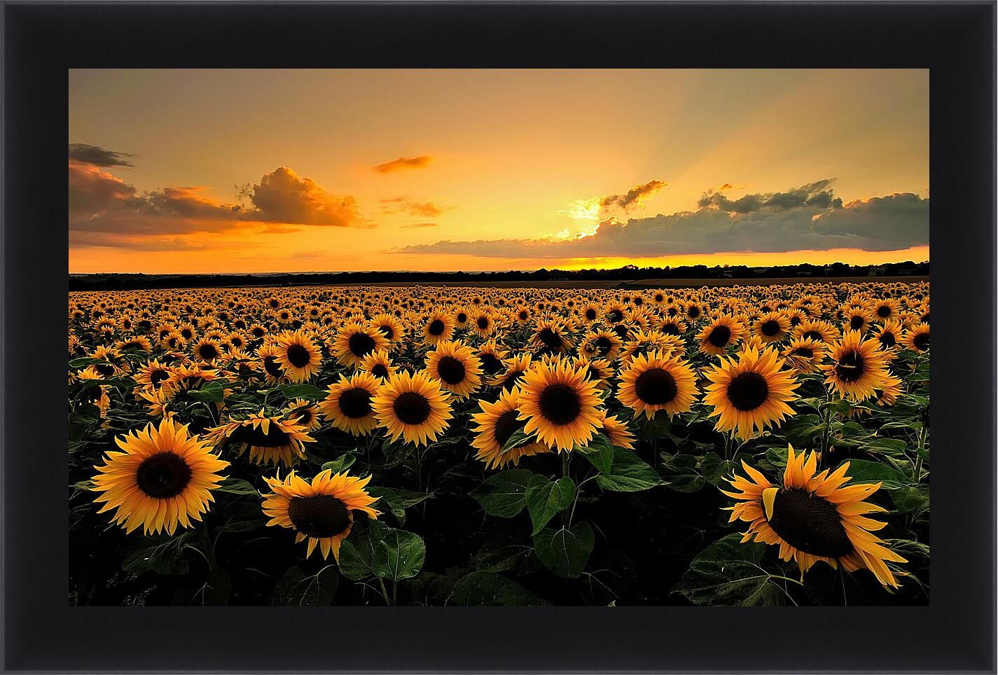 Dell inspiron 15 3000. Dell vostro 15 3000 series. ноутбук dell inspiron 15. как вычесть из 3000 30 процентов.