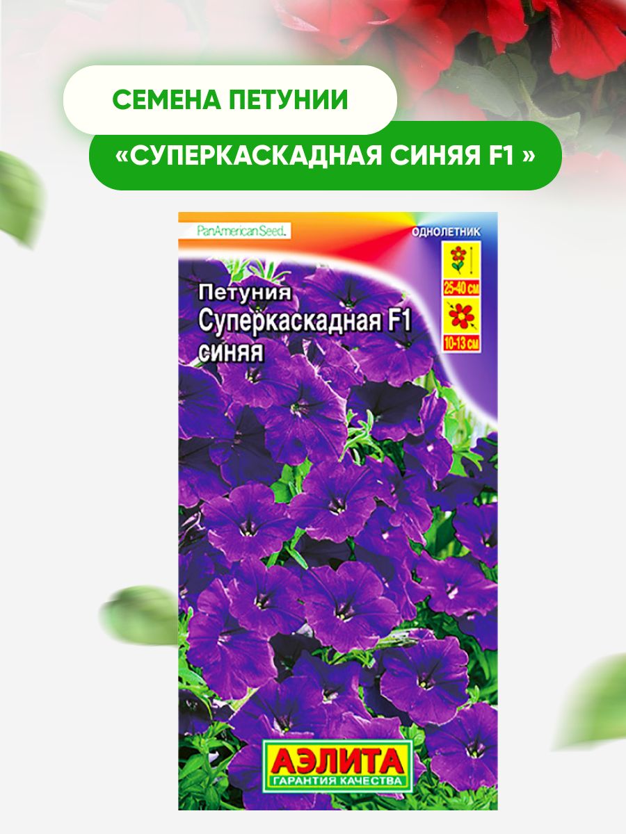 Петуния суперкаскадная f1. Петуния суперкаскадная синяя. Петуния суперкаскадная синяя f1. Петуния суперкаскадная лиловая. Петуния суперкаскадная румянец.