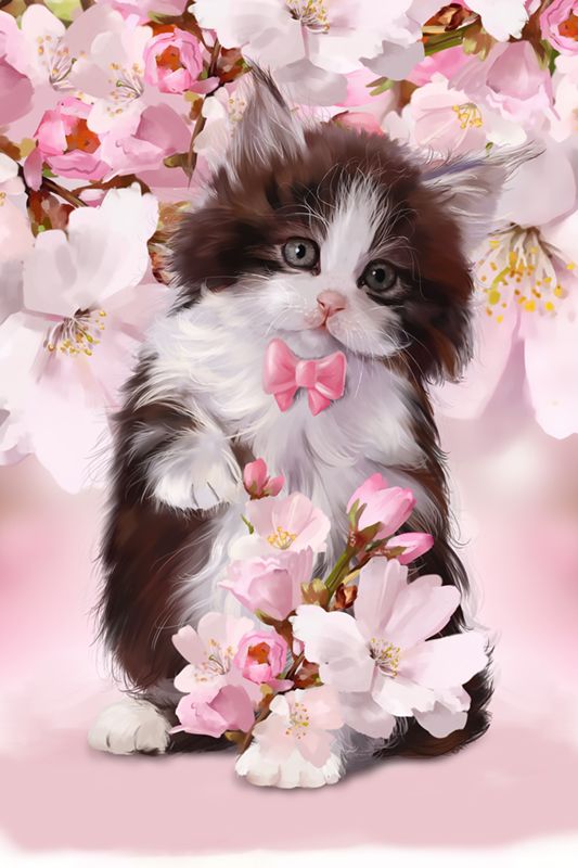 Открытка кот с цветами. Кот с цветами. Котик с цветочком. Котенок в цветах. Красивые котята с цветами.
