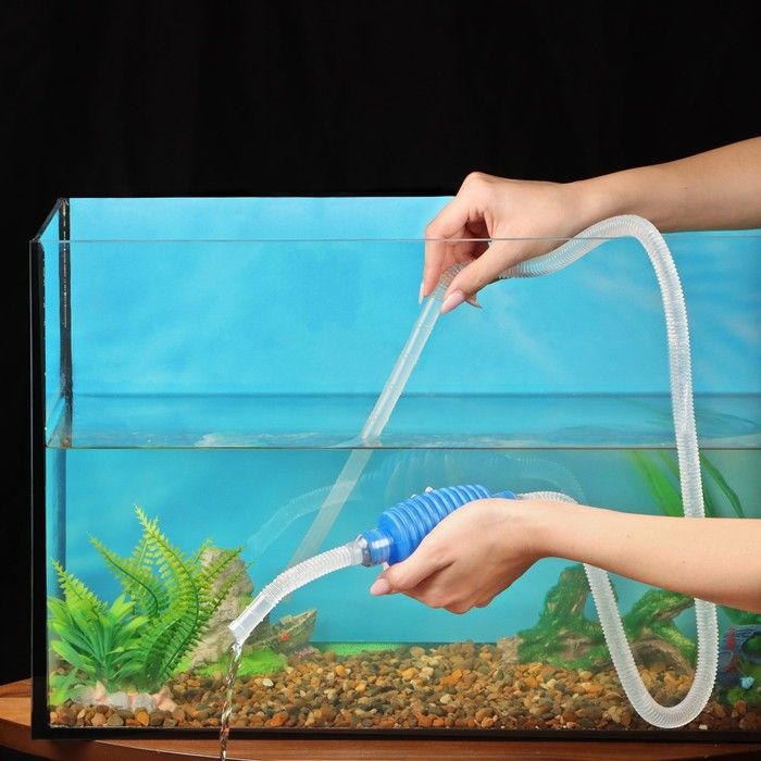 Как сделать фильтр для аквариума своими руками