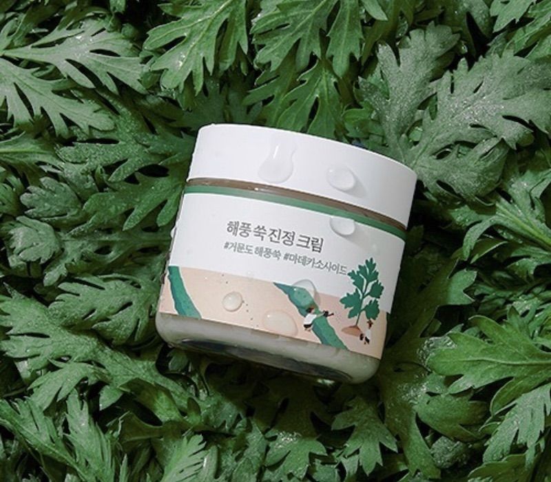 Round lab mugwort cleanser. Round Lab Mugwort Calming Cream 80ml. Успокаивающий крем с экстрактом полыни Round Lab Mugwort Calming Cream 80ml. Round Lab крем успокаивающий с полынью - Mugwort Calming Cream 80 мл. Round Lab крем с полынью.