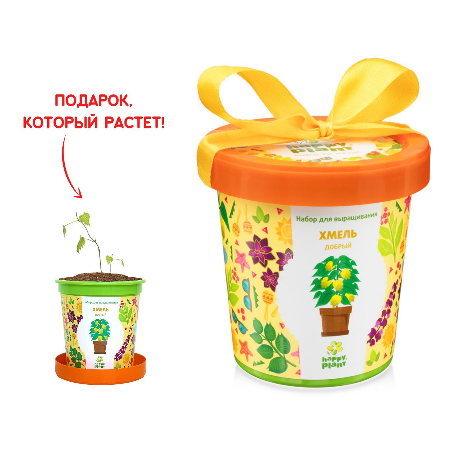 Набор для выращивания Happy Plant, Хмель, Различные травы, Многолетник  купить по выгодной цене в интернет-магазине OZON (149746663)