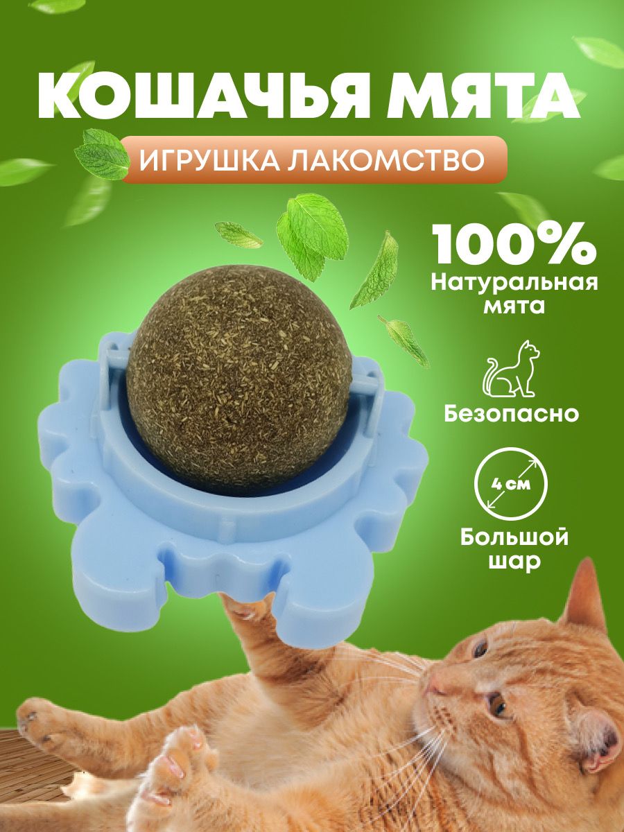 Игрушка шар кошачья мята/ PetLeon // Лакомство из натуральной мяты для  кошек синий краб - купить с доставкой по выгодным ценам в интернет-магазине  OZON (396126416)