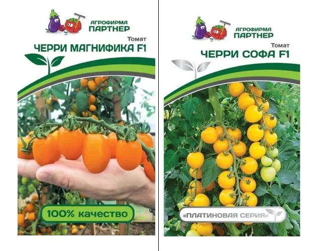 томат черри софа