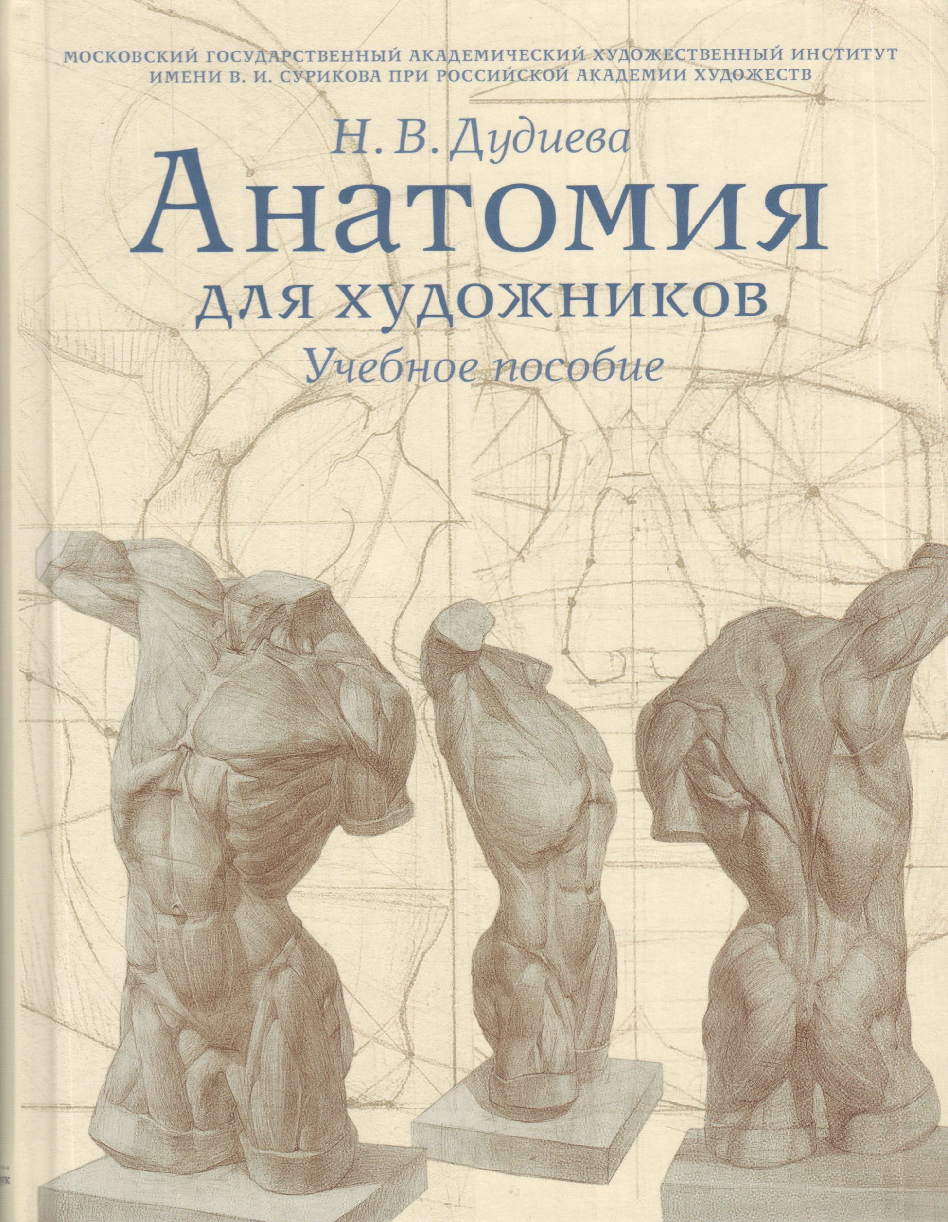 План изучения анатомии человека для художников