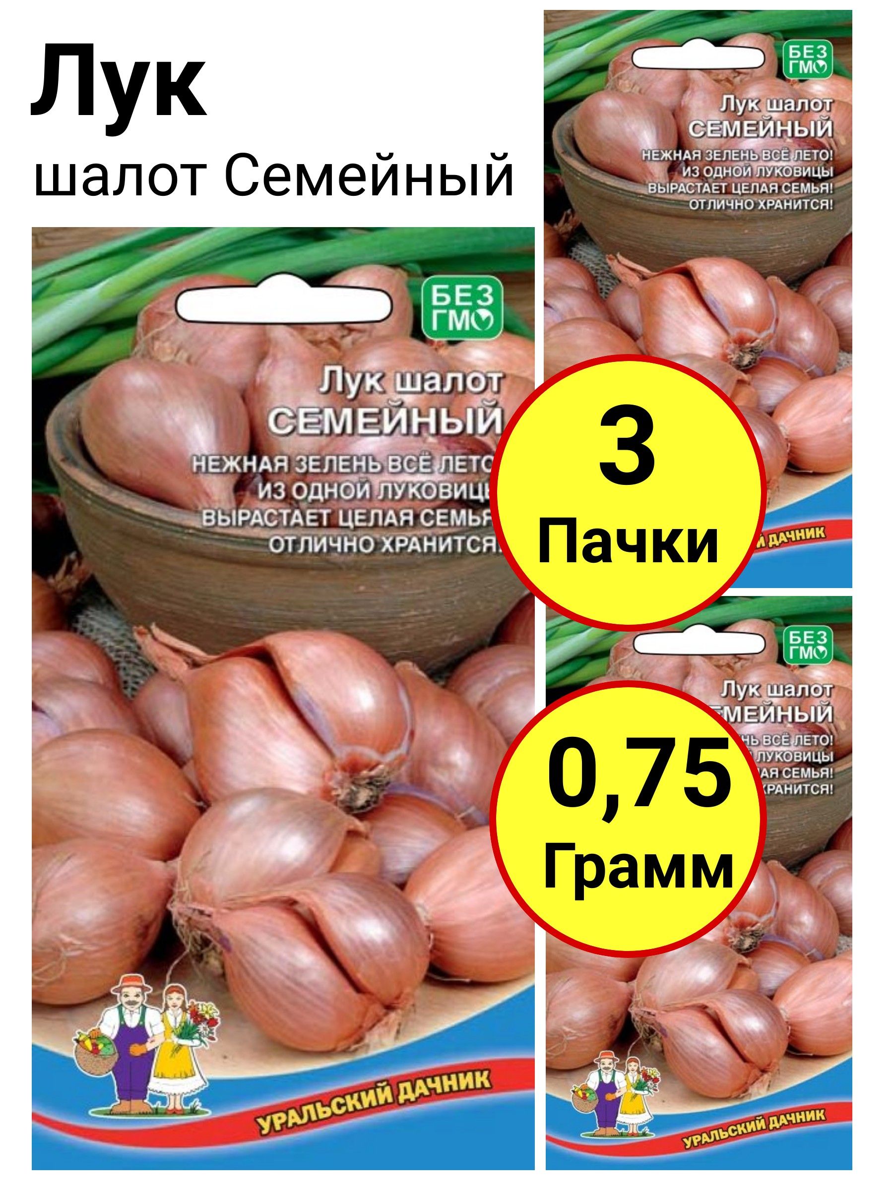 Лук репчатый Стригуновский местный 0,25 грамм Уральский дачник 145880648 купить