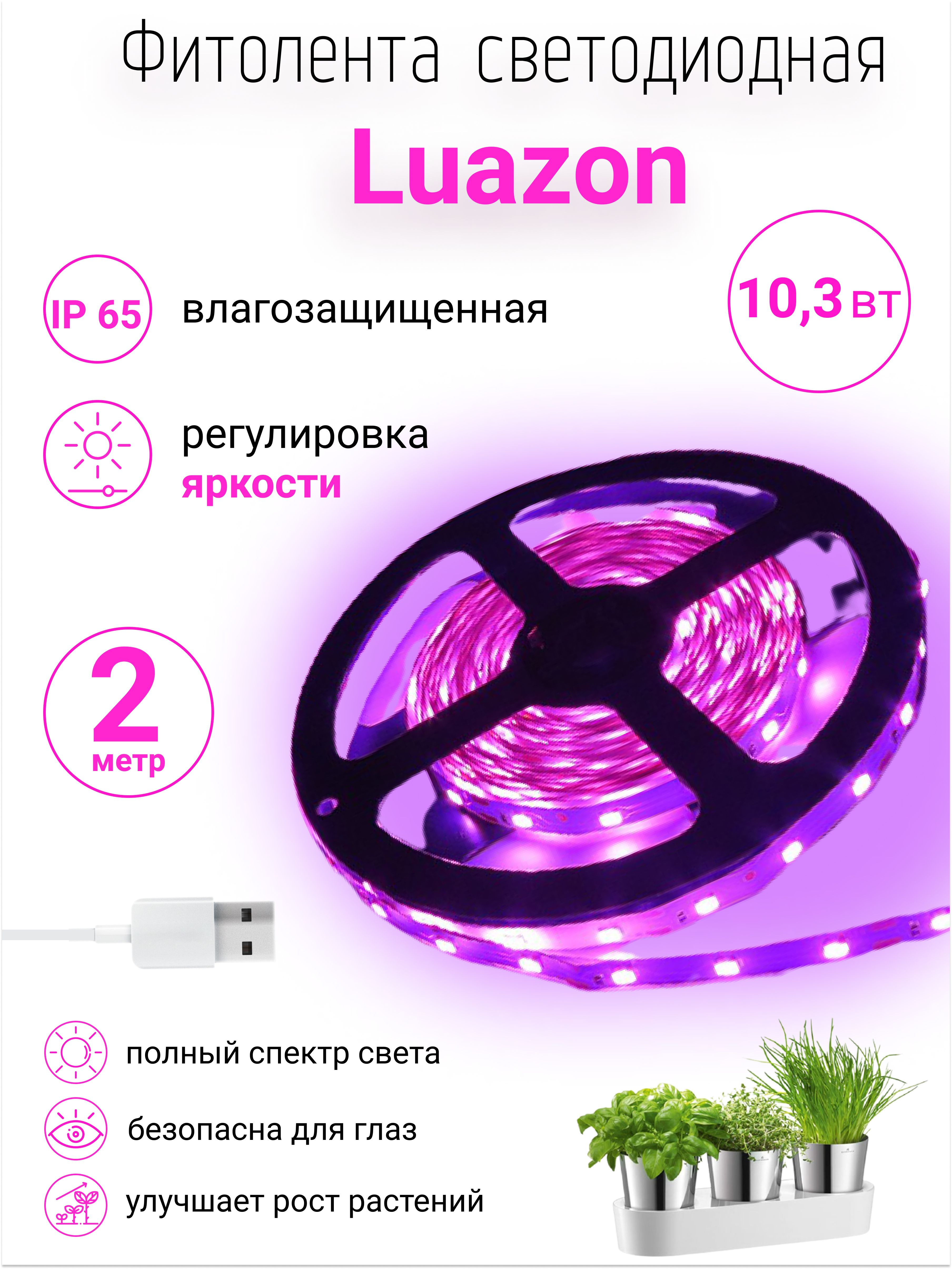 Как выращивать растения в закрытом грунте при помощи LED-ламп