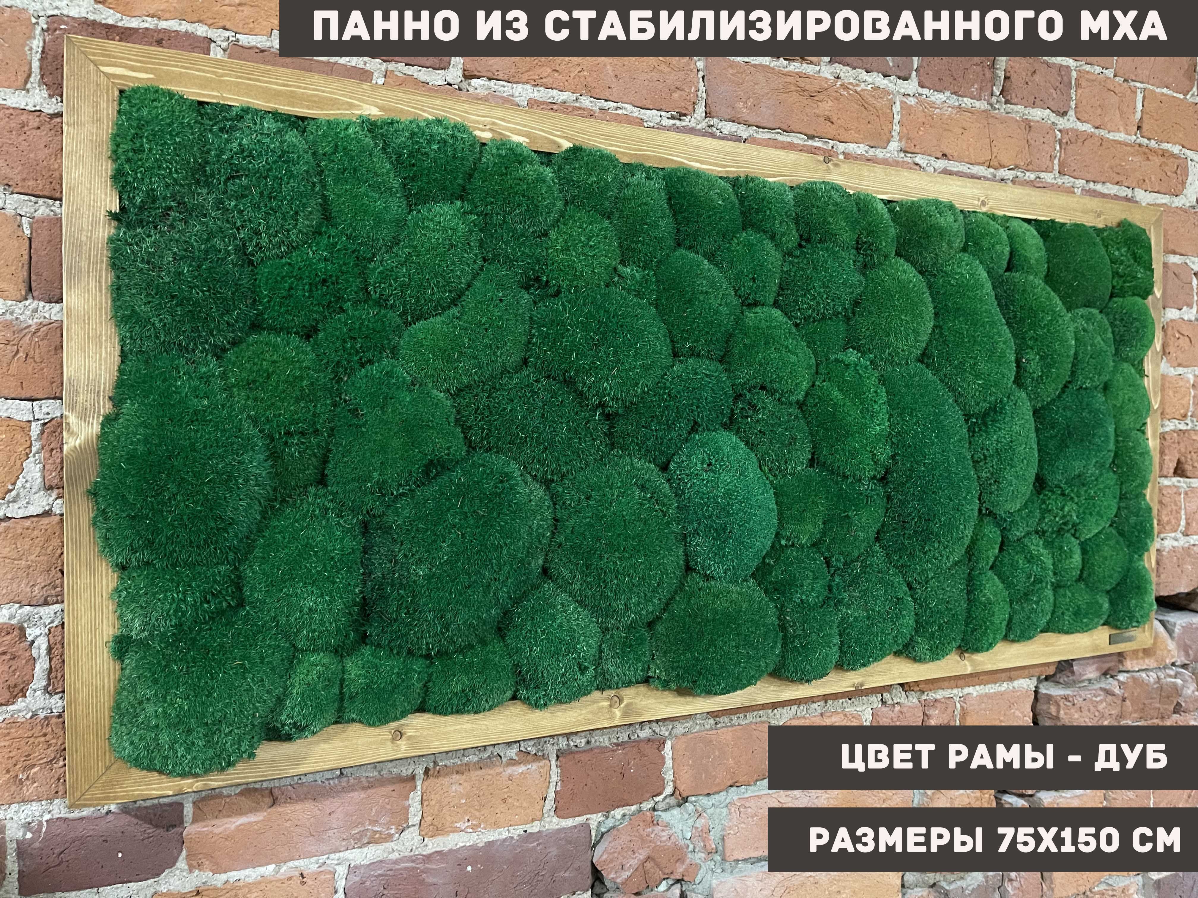Стабилизированный ответ. Панно из стабилизационного мха. стабилизированный мох цвета. стабилизированный мох в ванной комнате. стабилизированный мох текстура.