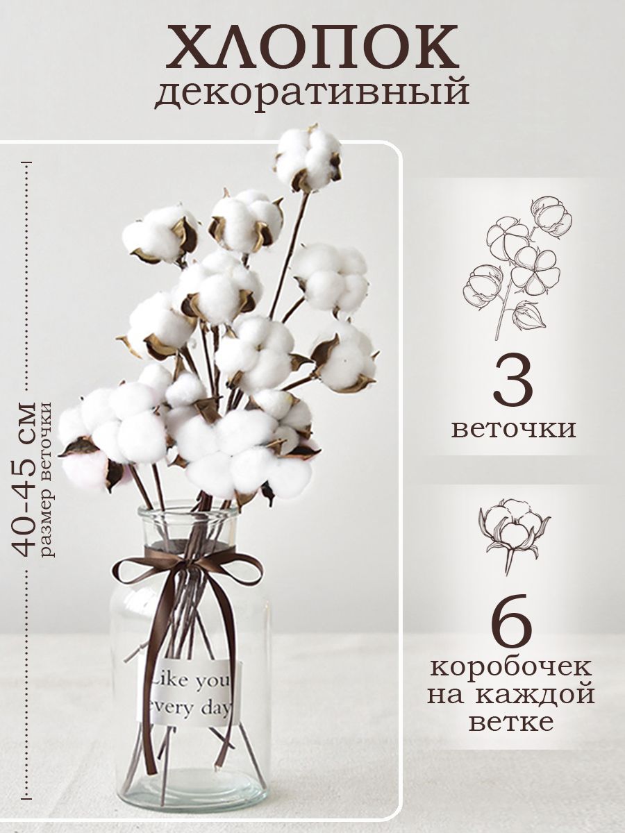 Букет из сухоцветов Handy Plants Хлопок, 45 см, 240 гр, 18 шт купить по  выгодной цене в интернет-магазине OZON (789977806)