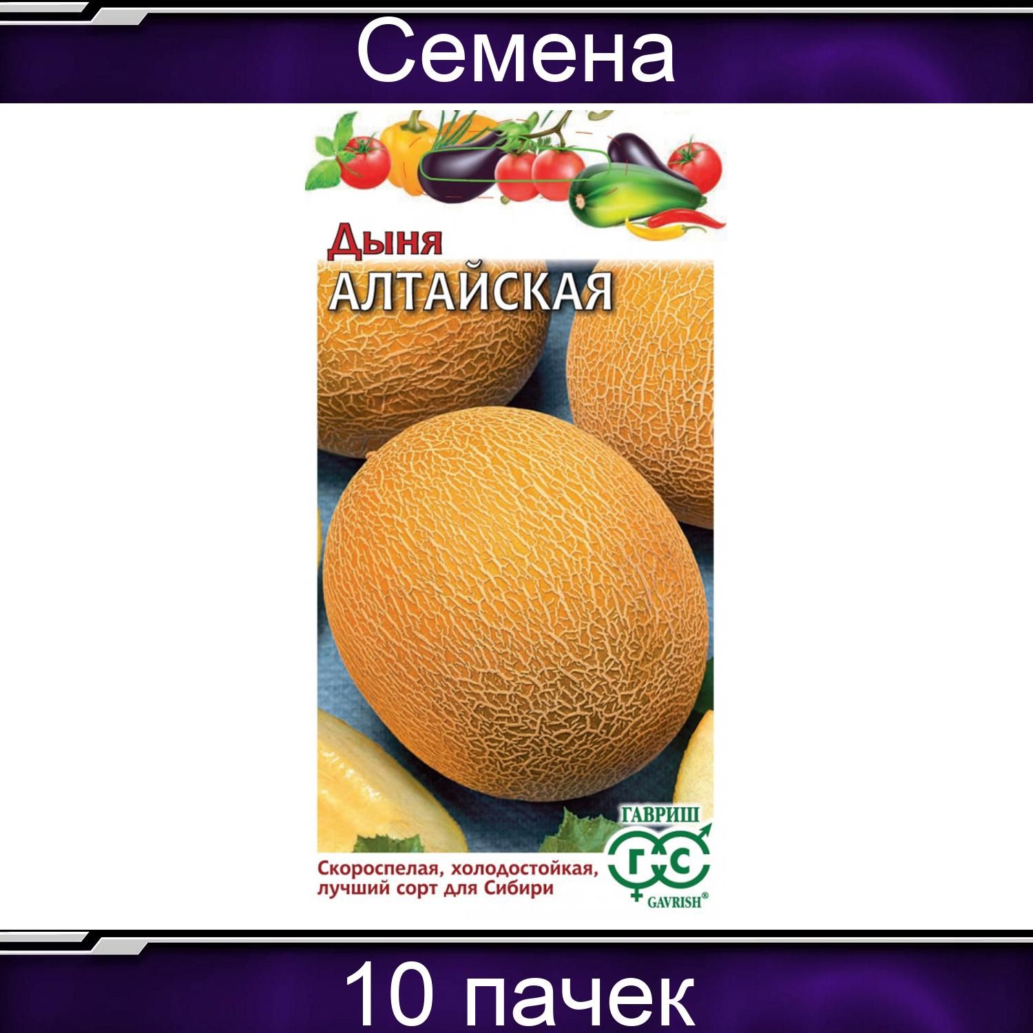 Дыни гавриш. Гавриш дыня ожен f1. гавриш дыня тигровая.