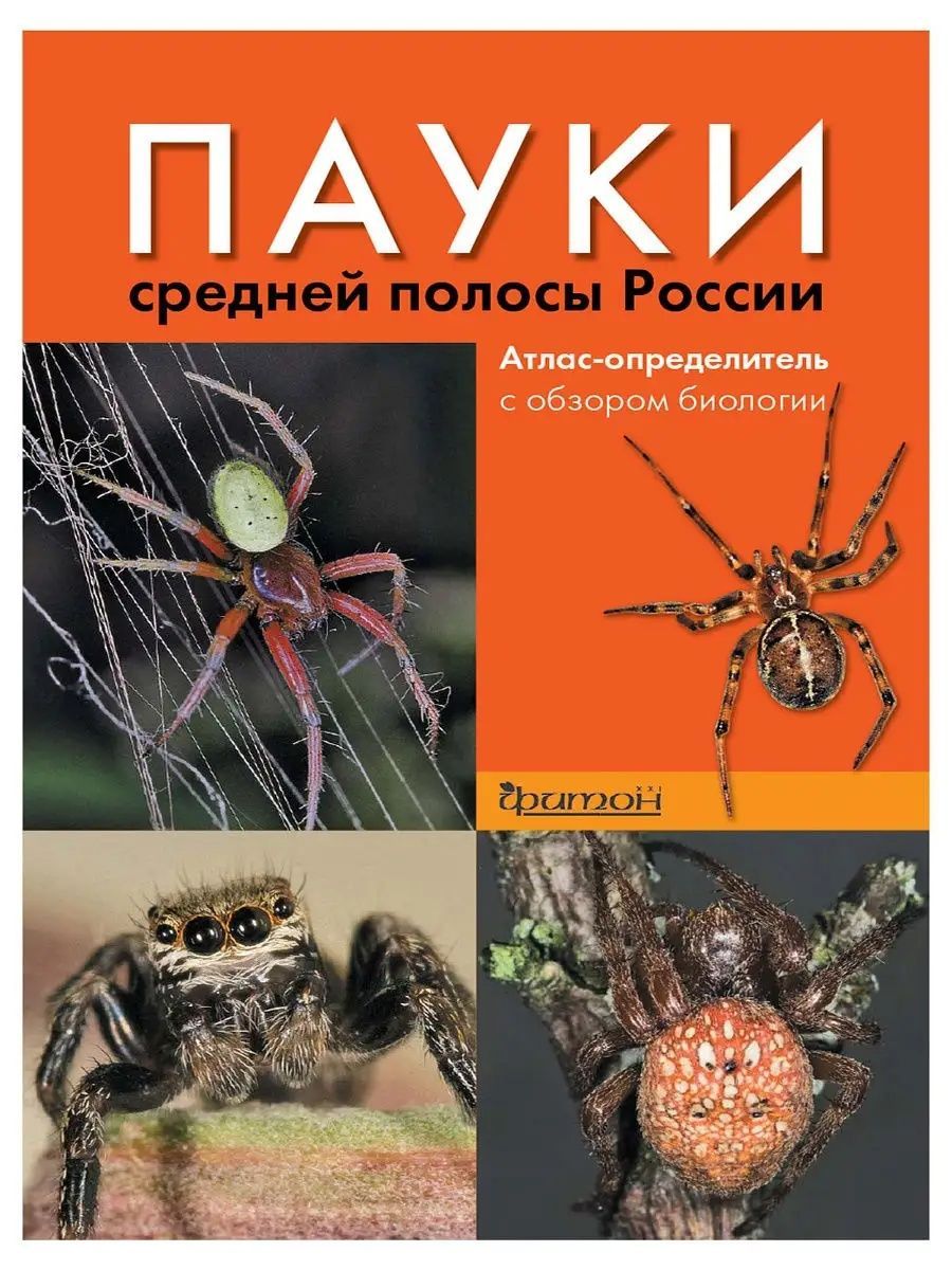 Пауки средней полосы России. Атлас - определитель с обзором биологии. Римма  Сейфулина, Владимир Карцев (Фитон XXI) - купить с доставкой по выгодным  ценам в интернет-магазине OZON (844326815)