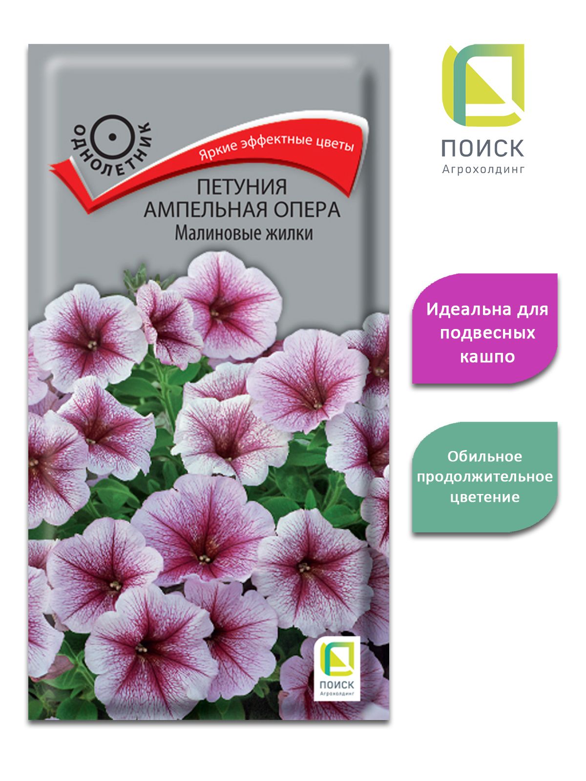 Петуния семена. Петуния опера Распберри айс семена. Петуния ампельная малиновые жилки. Петуния ампельная опера малиновые жилки. Петуния ампельная опера Распберри айс.