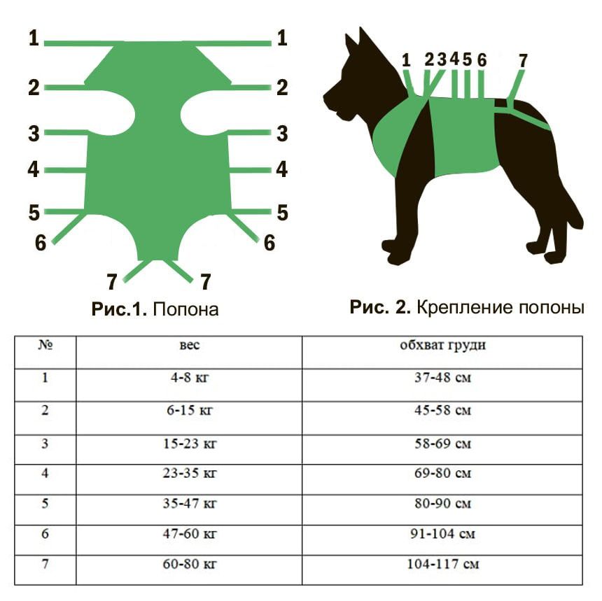 Сшитые своими руками бандажи и попоны