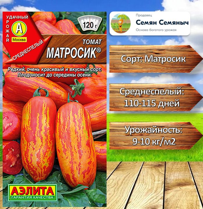 Томат африканский коричневый. Томат матросик отзывы фото. Томат матросик отзывы фото. Помидоры матросик. Помидоры матросик.