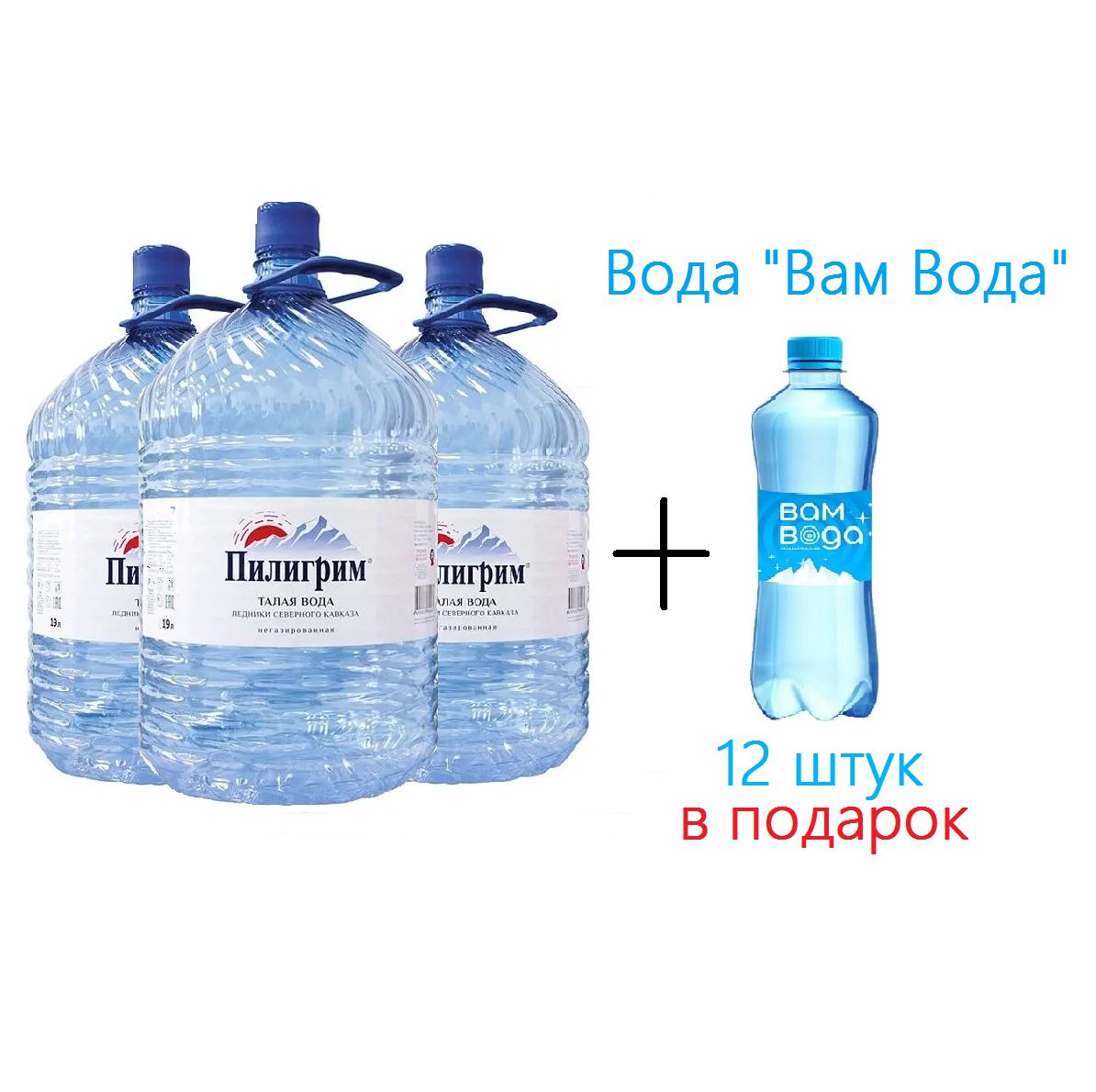 Вода ледниковая Пилигрим, 19 литров (разовая бутыль), 3 шт + "Вам Вода" 12 шт х 0,5, б/г