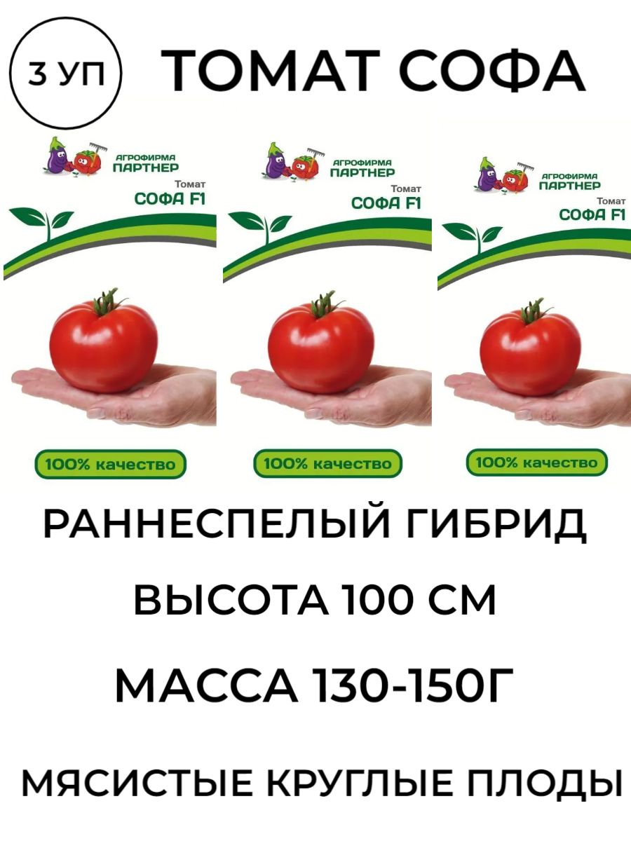 Томат деревенский партнер. Томат софа характеристика и описание. Томат софа характеристика и описание сорта. Томат софа фото.