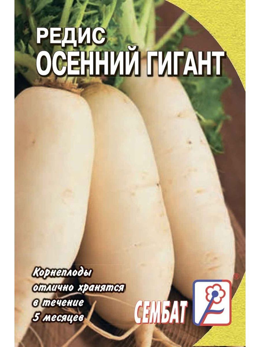 Редис осенний гигант. Редис осенний гигант 3 г.