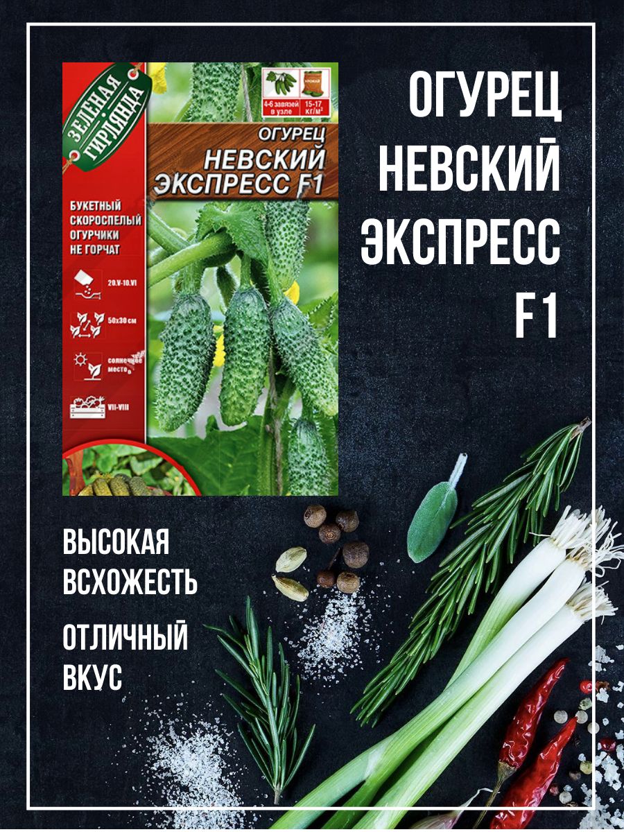 Огурец экспресс фото