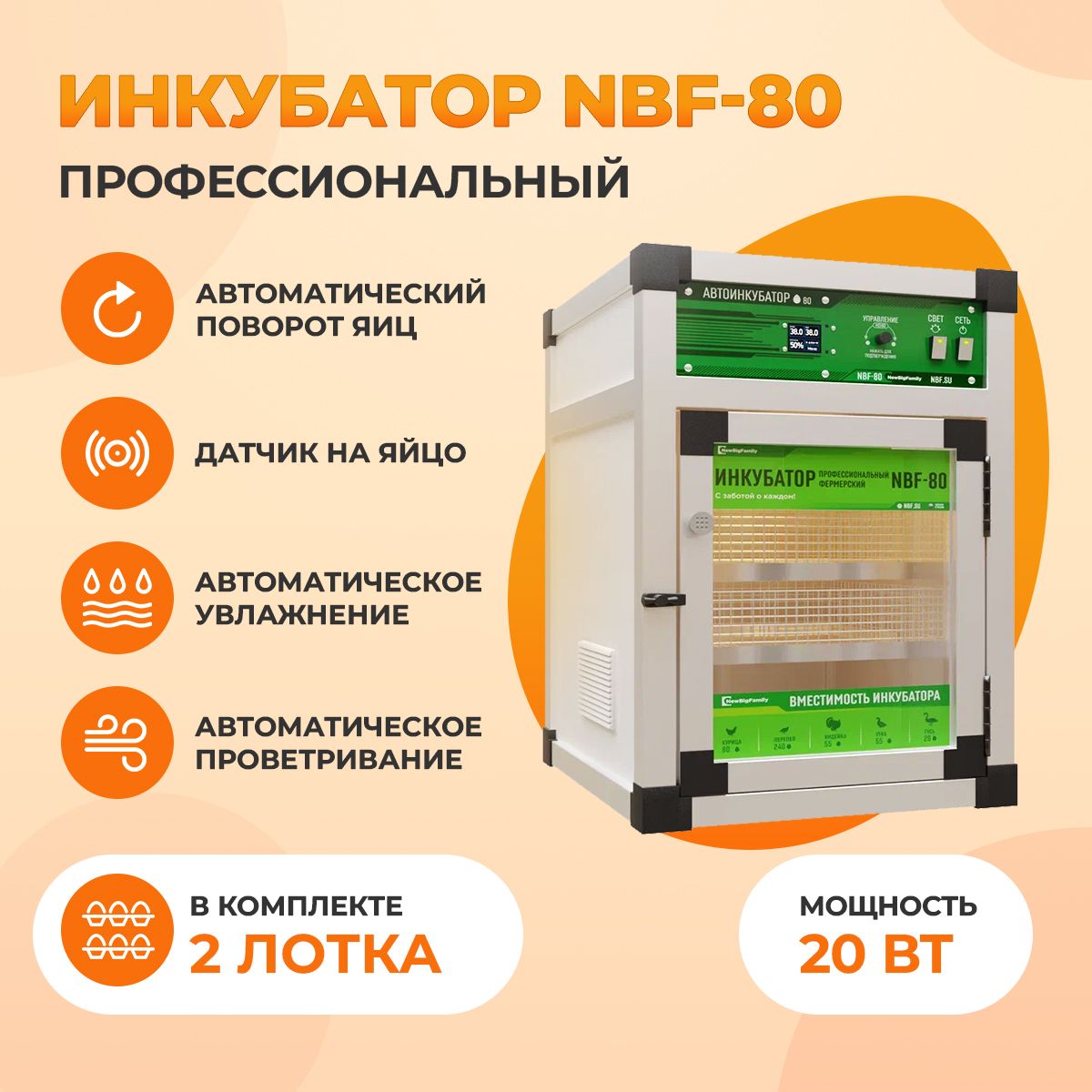 Инкубатор для яиц автоматический NBF, 80 яиц, 220В, автоповорот - купить с  доставкой по выгодным ценам в интернет-магазине OZON (593971580)