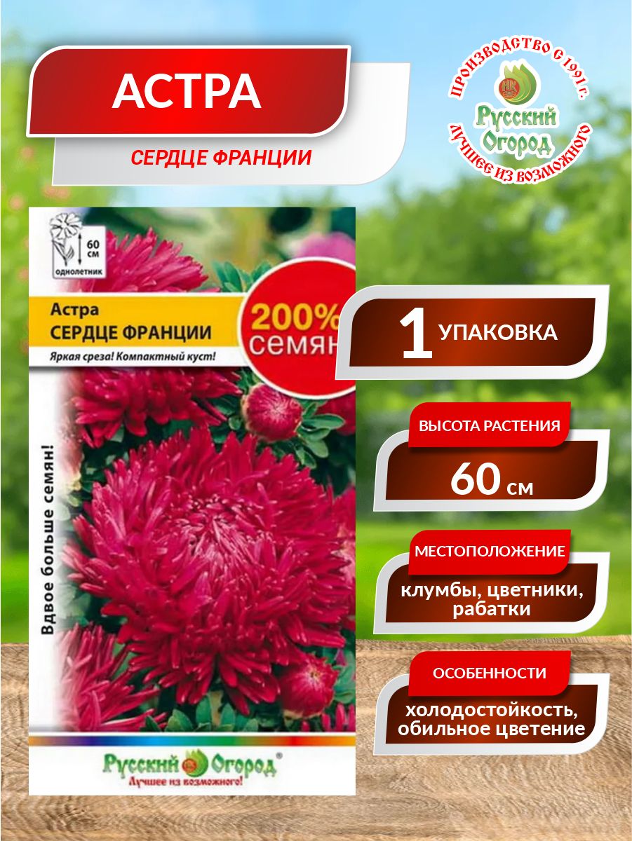 Семена цветов Астра Французское сердце ПОИСК 165007623 купить за 114 ₽ в интерне