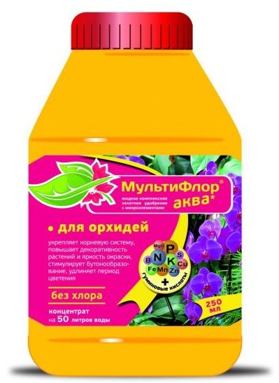 Купить Орхидею Мультифлору В Иванове