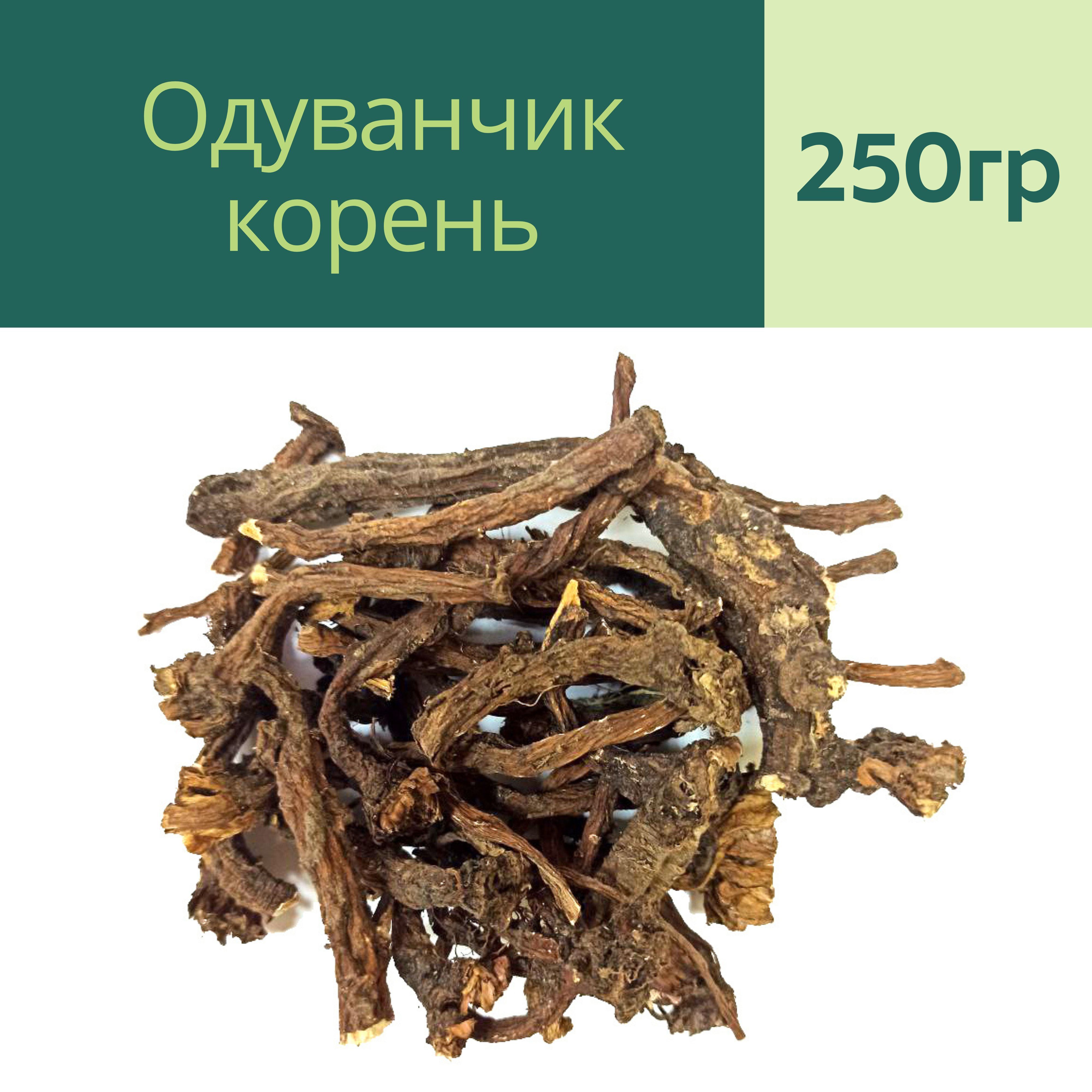 Корень Одуванчика Купить В Аптеке Цена