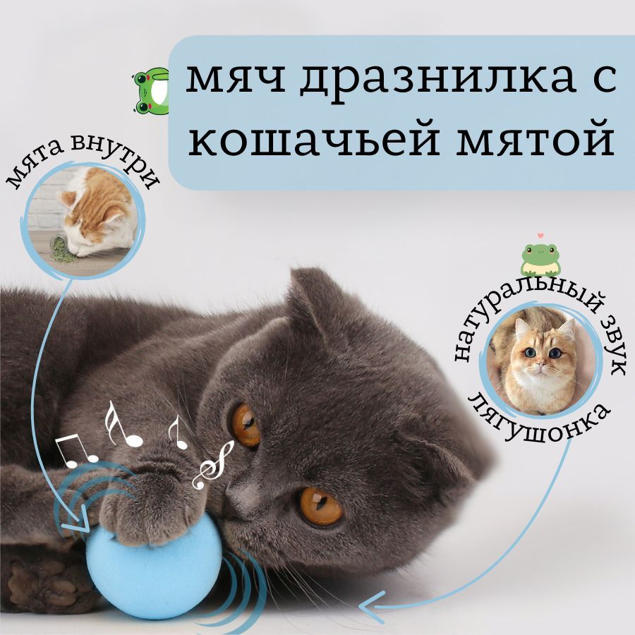 Интерактивная игрушка для кошки, мячик с мятой со звуком лягушонка для кошек  и собак. Игрушки для кошек. - купить с доставкой по выгодным ценам в  интернет-магазине OZON (257157257)
