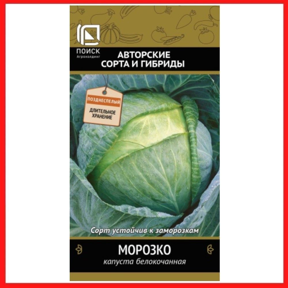 Капуста морозко описание сорта фото отзывы