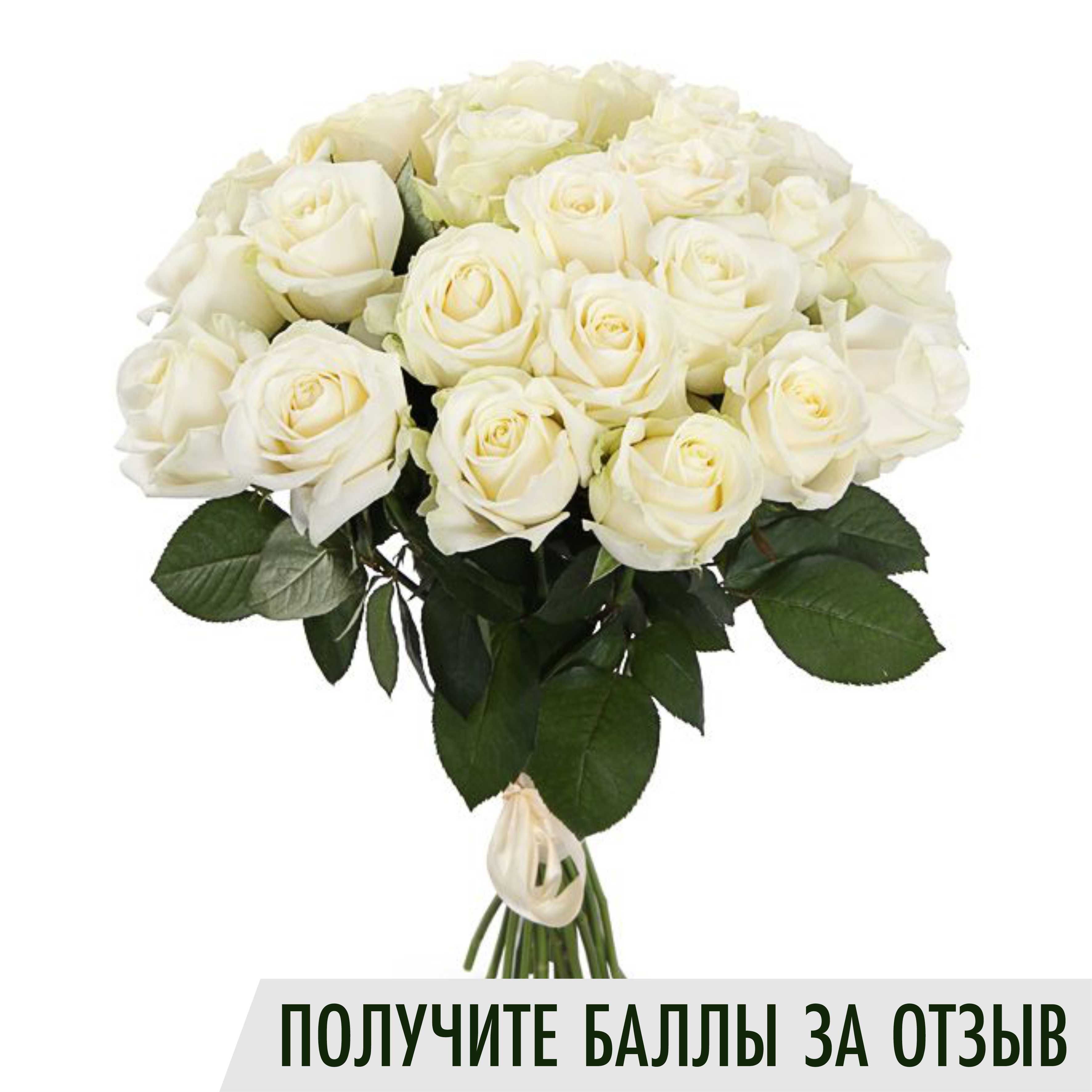 50 Белых Роз Купить