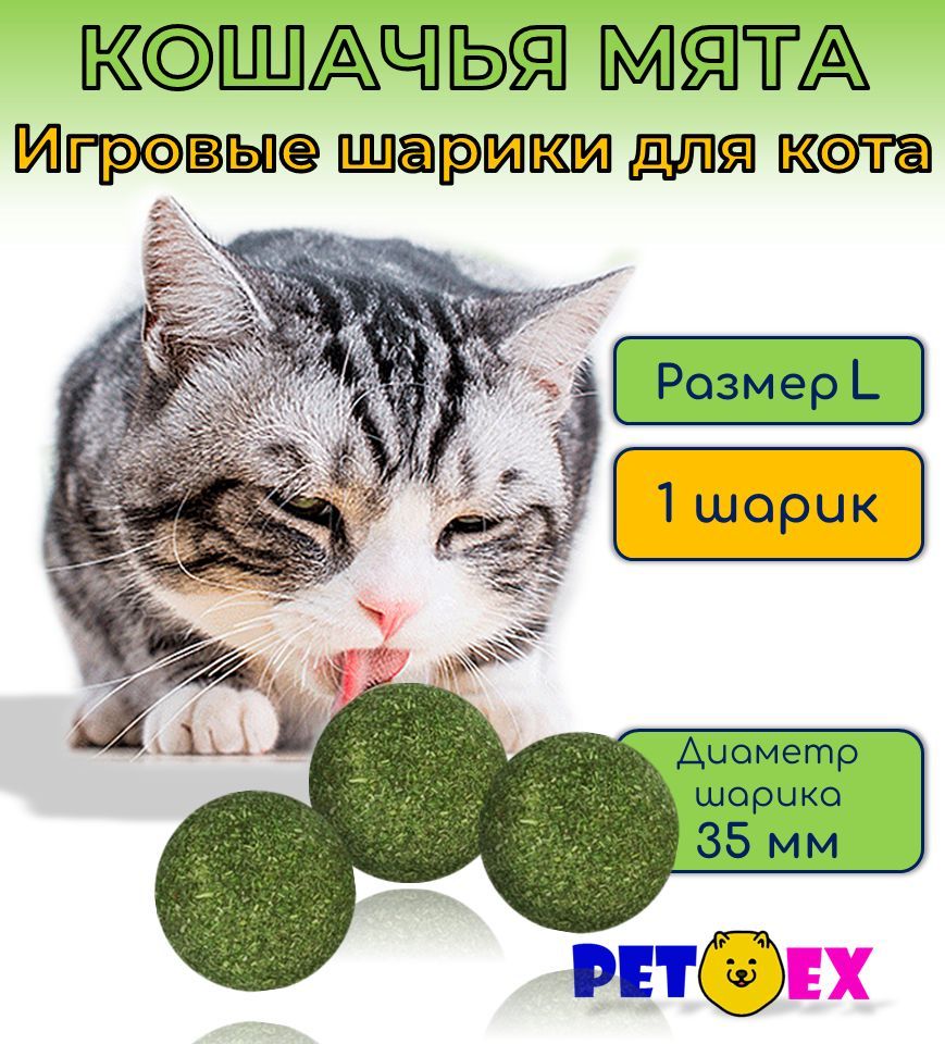Кошачья мята шарик. Кошачья мята эффект кот. Альпийские луга шарик кошачья мята. Сухая мята для кошек. Кошачья мята шарик сколько можно давать.
