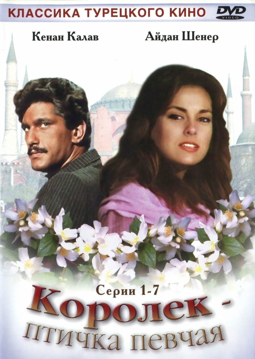 Королёк птичка певчая / alkuu (Осман Ф. Седен) 1986, Турция, Драма (2 DVD)