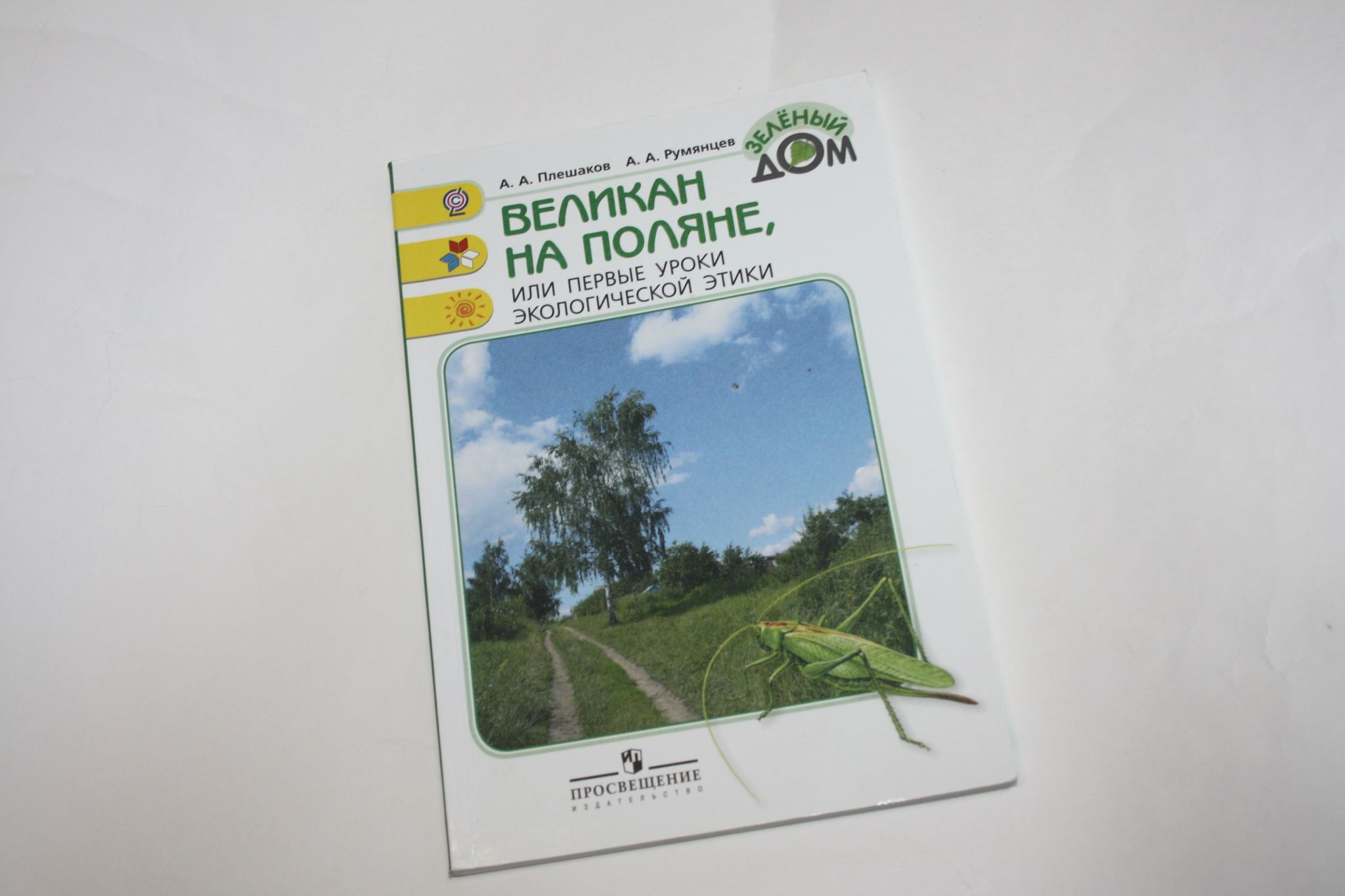 Книга великан на поляне