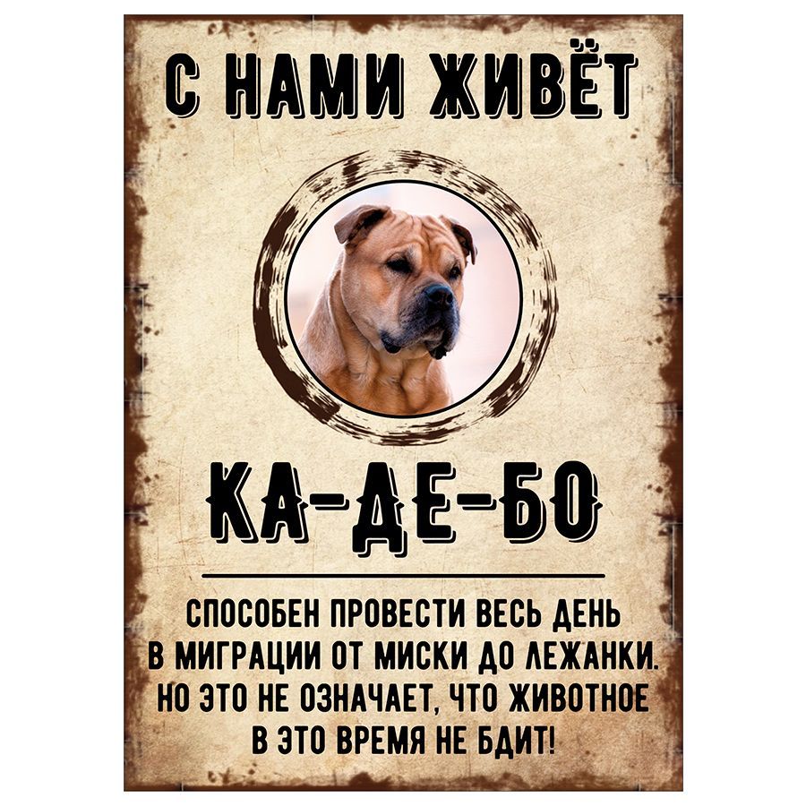 Табличка, декоративная, DANGER DOG, С нами живет Ка-де-бо, 18см х 25см, 25  см, 18 см - купить в интернет-магазине OZON по выгодной цене (851341114)