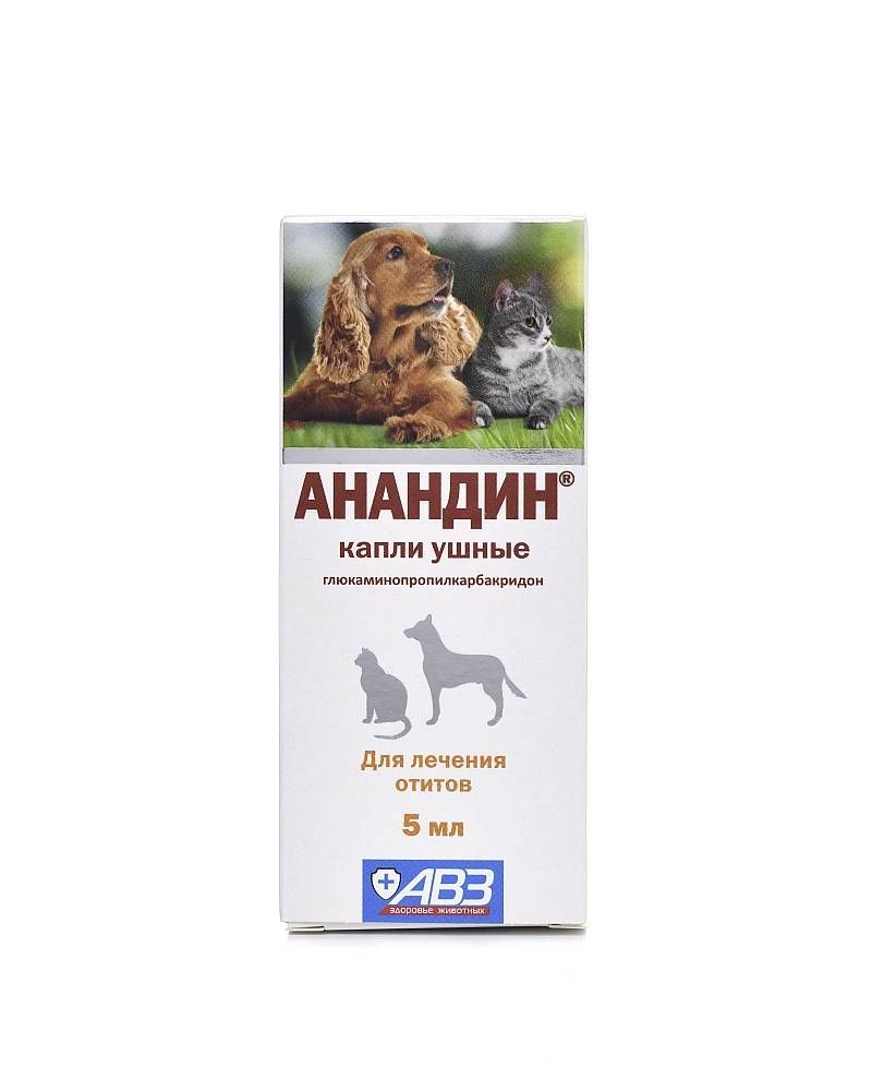 АВЗ Анандин Ушные капли для лечения отитов 5 мл - купить с доставкой по  выгодным ценам в интернет-магазине OZON (1037197878)