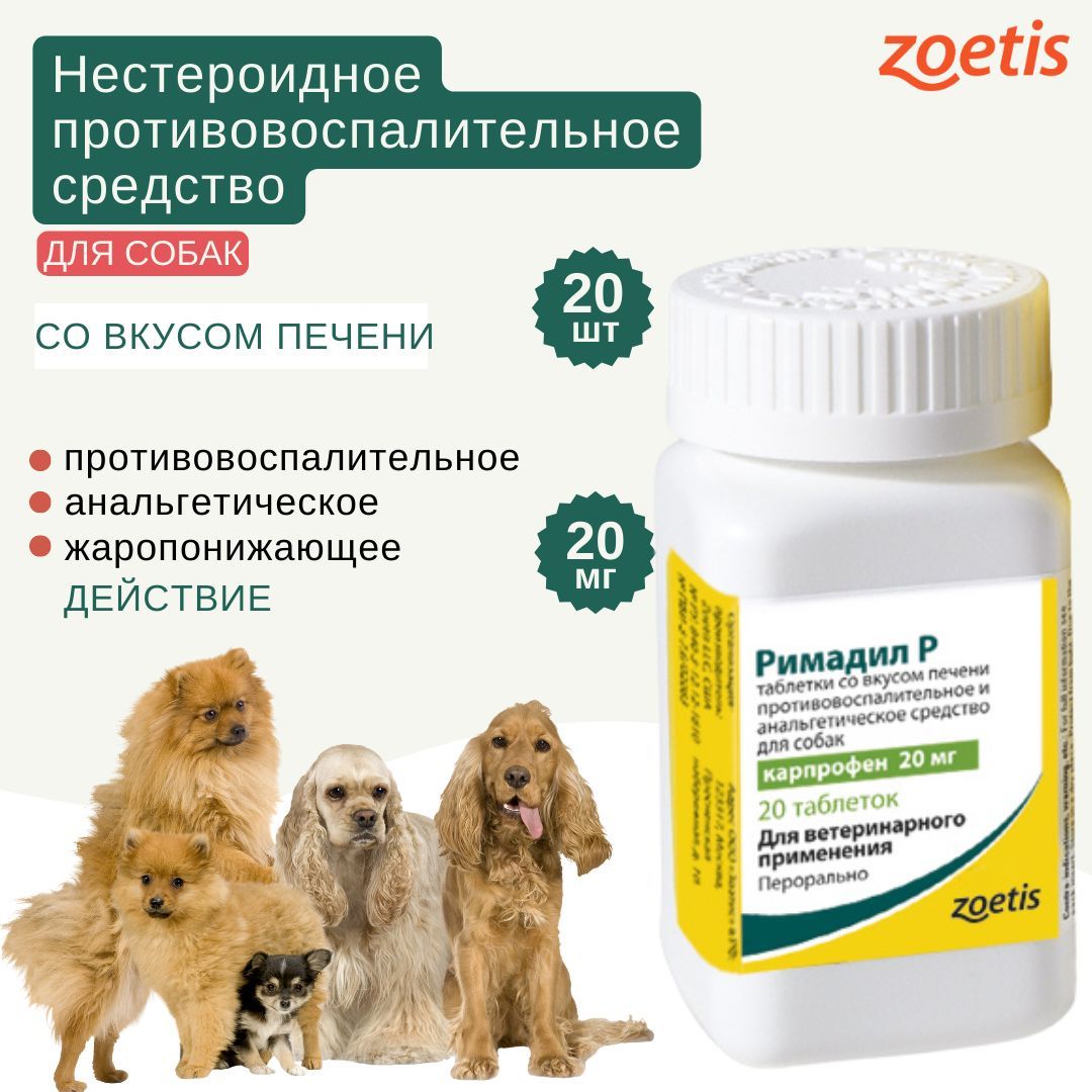 Римадил для собак инструкция по применению. Римадил для собак. Римадил аналог. Римадил 100 мг для собак цена. Римадил купить в Воронеже.