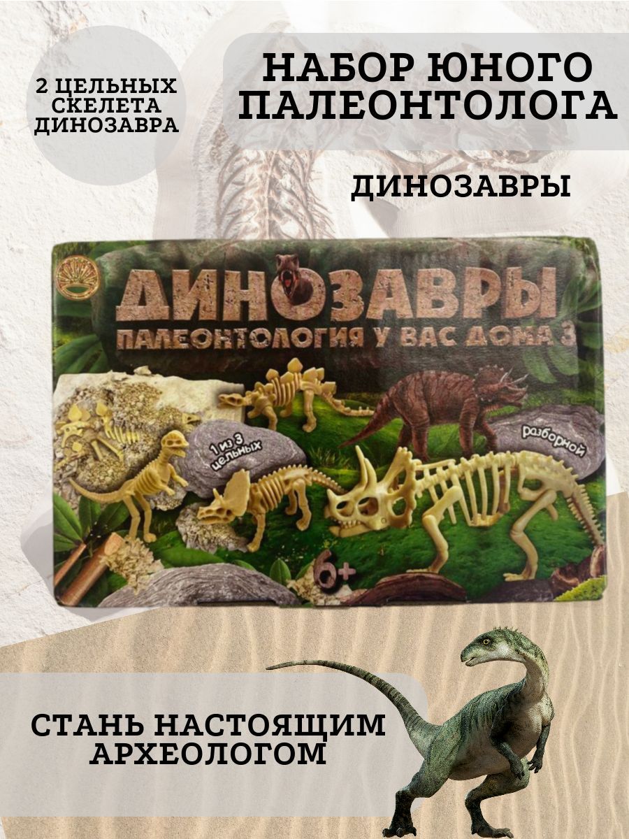 Набор для раскопок: Динозавры: палеонтология у вас дома - купить с  доставкой по выгодным ценам в интернет-магазине OZON (1055775932)