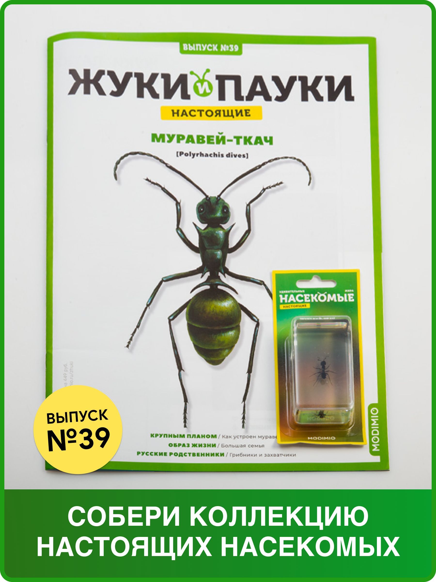 Жуки и пауки, Выпуск №39, Муравей-ткач - купить с доставкой по выгодным  ценам в интернет-магазине OZON (616699630)