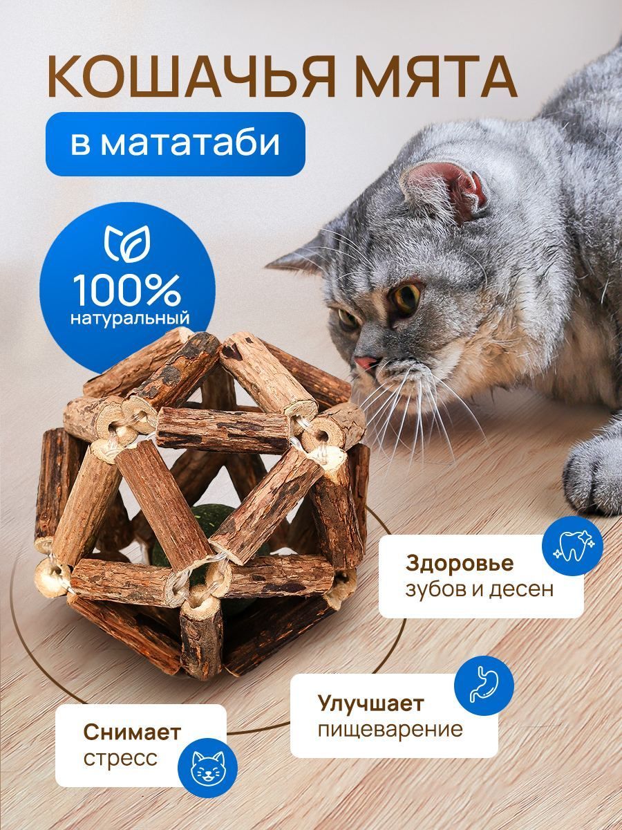 Игрушка для кошек с кошачьей мятой, шарик Мататаби для чистки зубов и  десен. - купить с доставкой по выгодным ценам в интернет-магазине OZON  (1049306850)