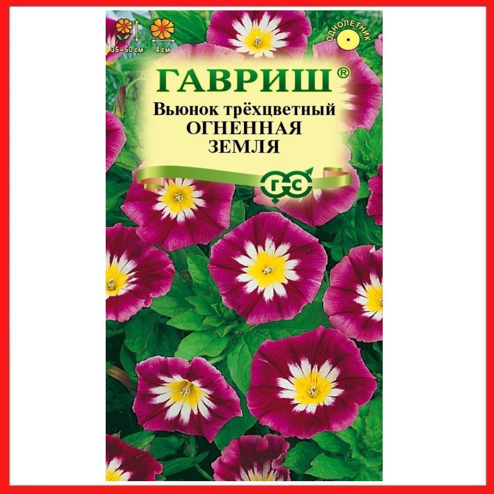 СеменаВьюноктрехцветный"Огненнаяземля"0,5гр,однолетниецветыдлядачи,садаиогорода,клумбы,воткрытыйгрунт,нарассаду,цветыизсемянвдомашнихусловиях.