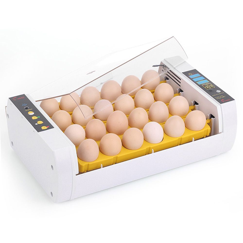 Мини инкубатор купить. Инкубатор Egg incubator HHD YZ-24a. Инкубатор HHD 24. Инкубатор HHD Mini 24. Инкубатор автоматический на 24 яйца HHD.