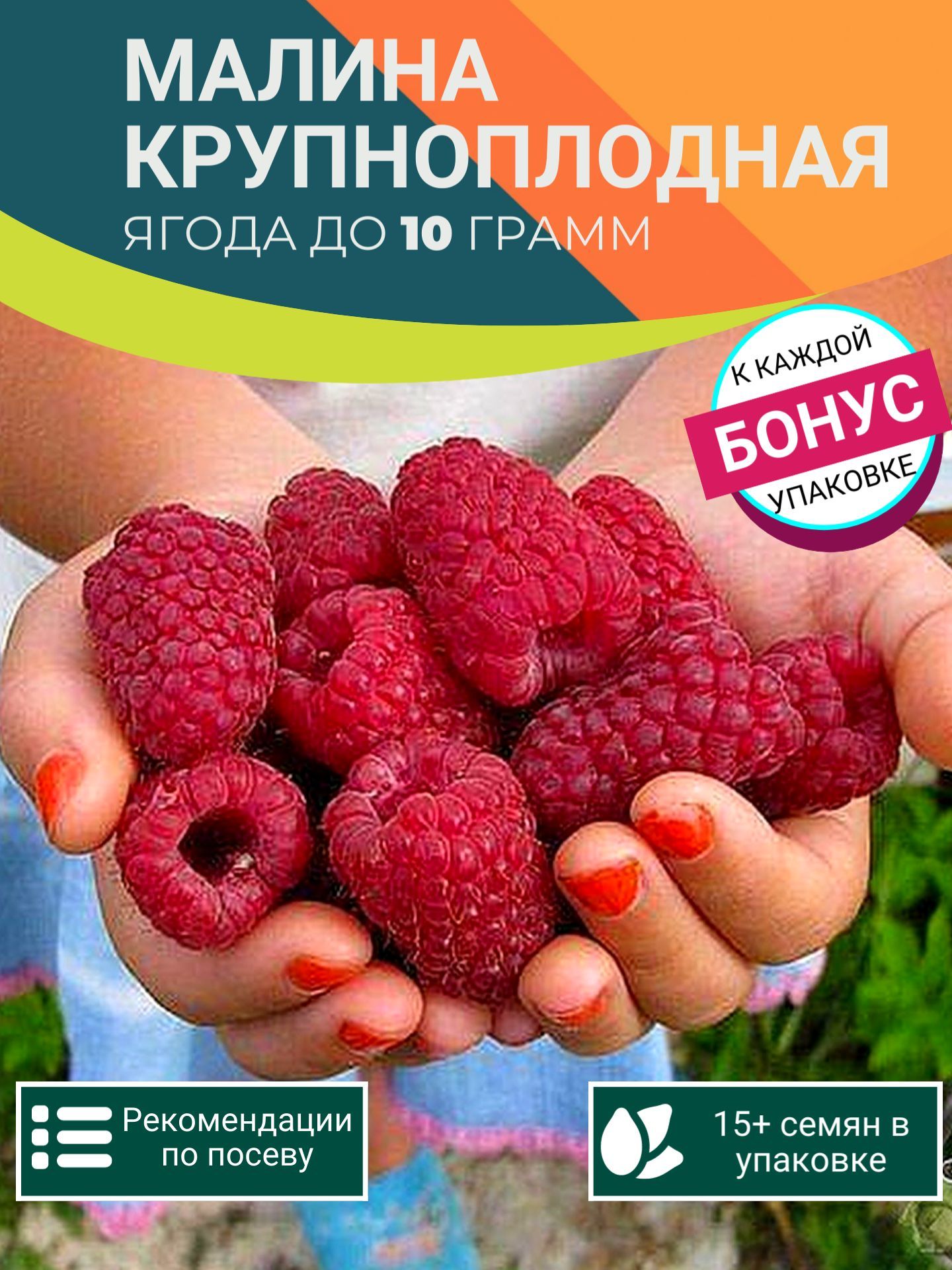 Малина Крупноплодная семена 15 шт + Бонус + Рекомендации по проращиванию БЕСПЛАТНО!
