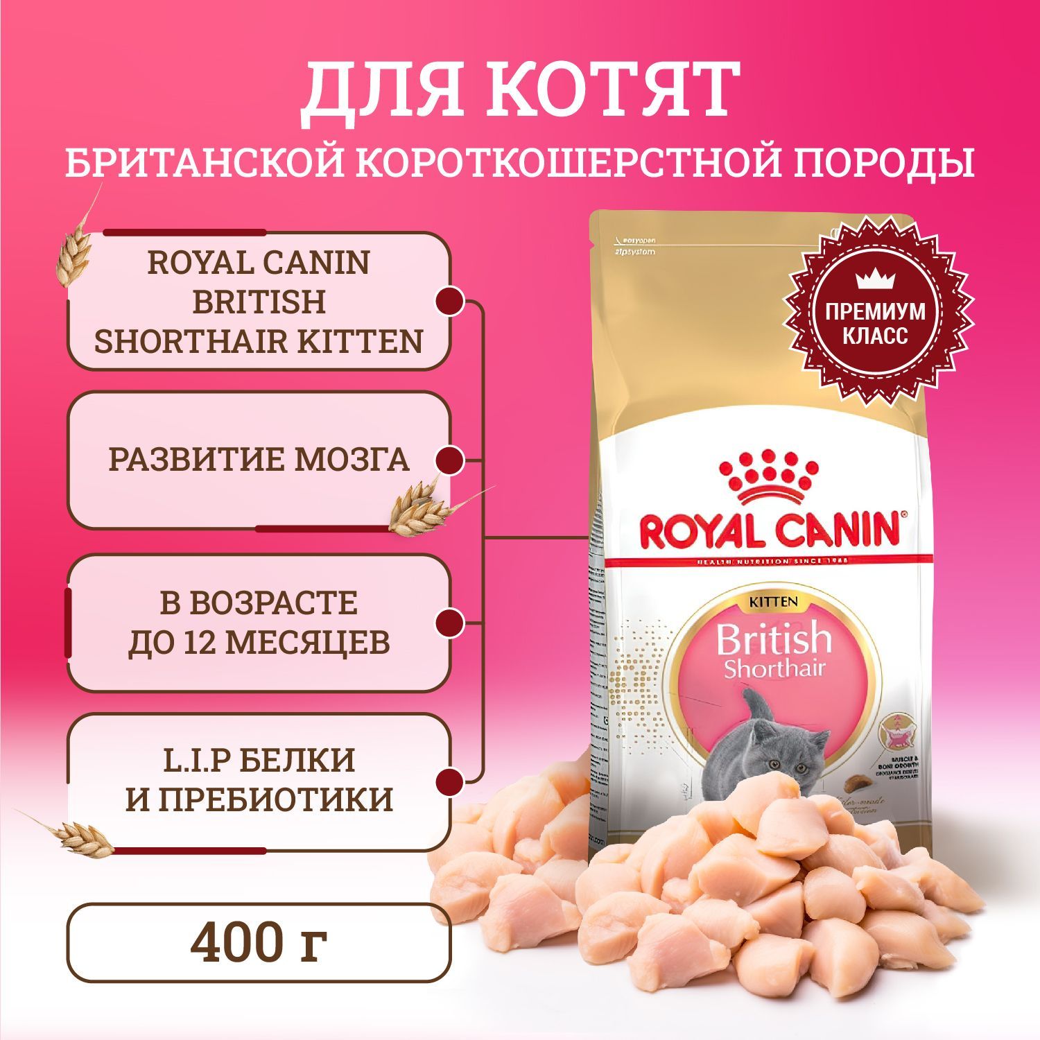 Royal Canin Maine Coon 2 Кг Купить