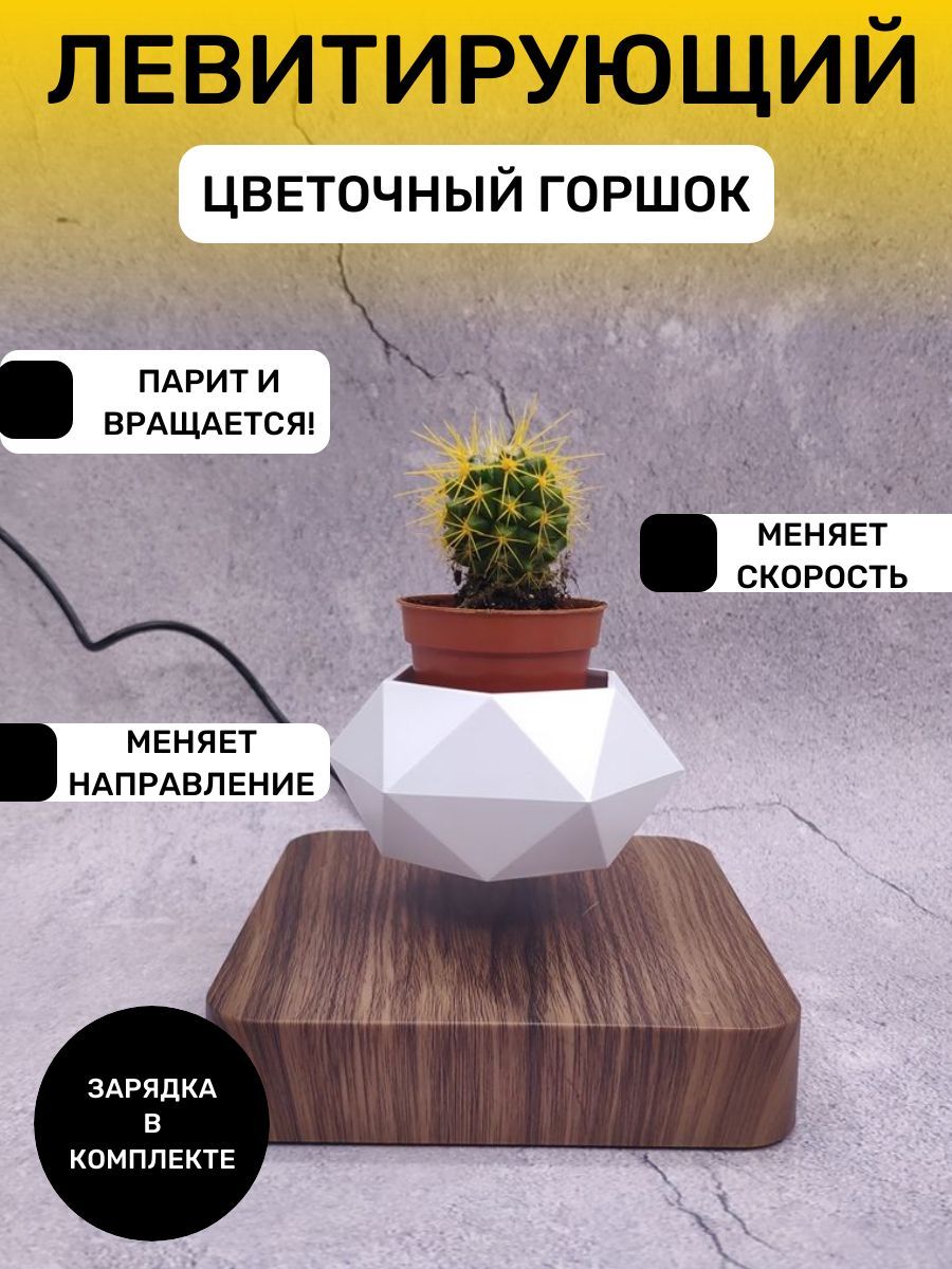 Купить NatureLove Левитирующий горшок «Интерстеллар» в Москве:🌱 лучшая цена с доставкой по России