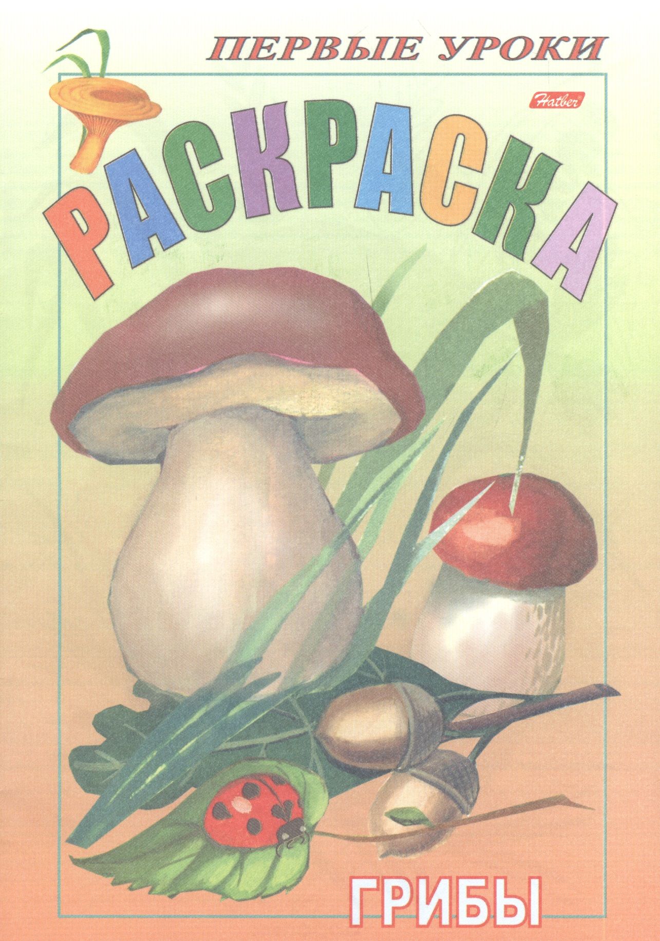 Урок грибы. Раскраска первые уроки грибы. Книжка раскраска про грибы. Книжка про грибы. Книга грибов для детей.